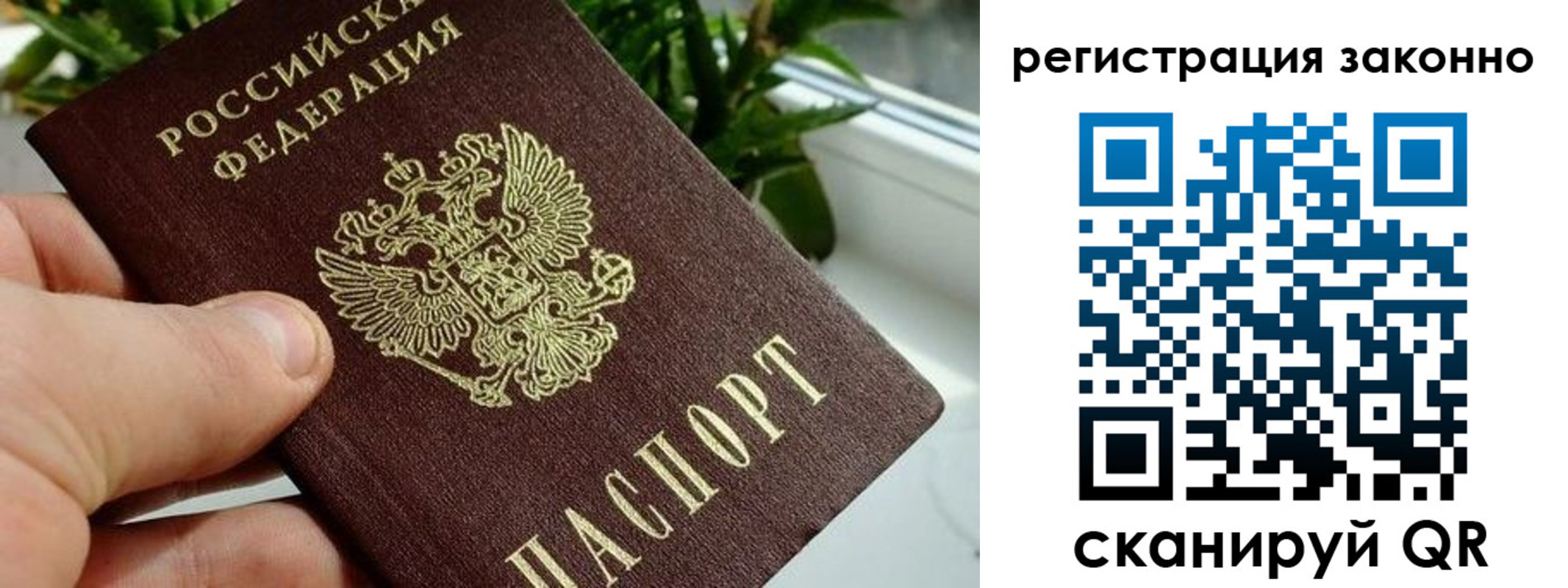 прописка гарантия в Ростовской области